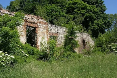 Ruiny dworu w Porębie Żegoty
